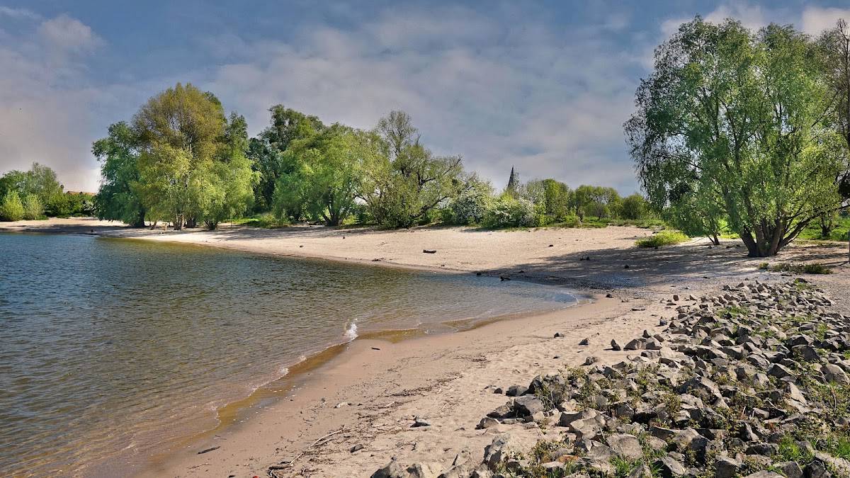 Naturschutzgebiet Himmelgeister Rheinbogen