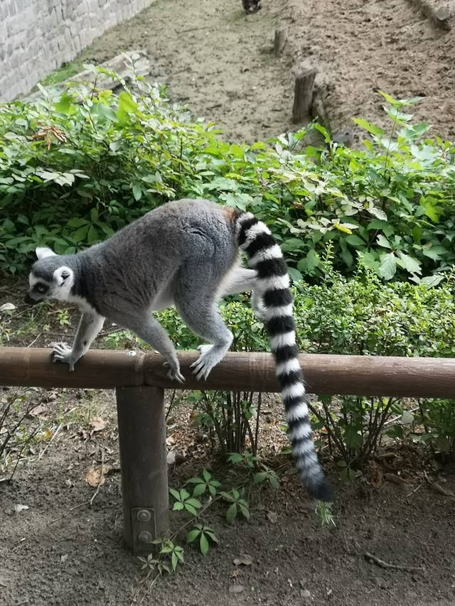 Zoologischer Garten Eberswalde