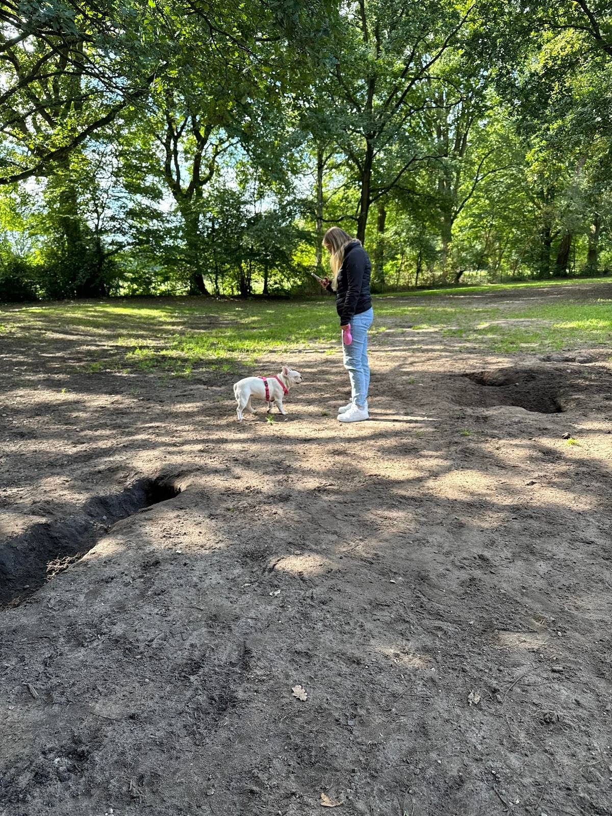 Hundeauslaufzone Bornpark