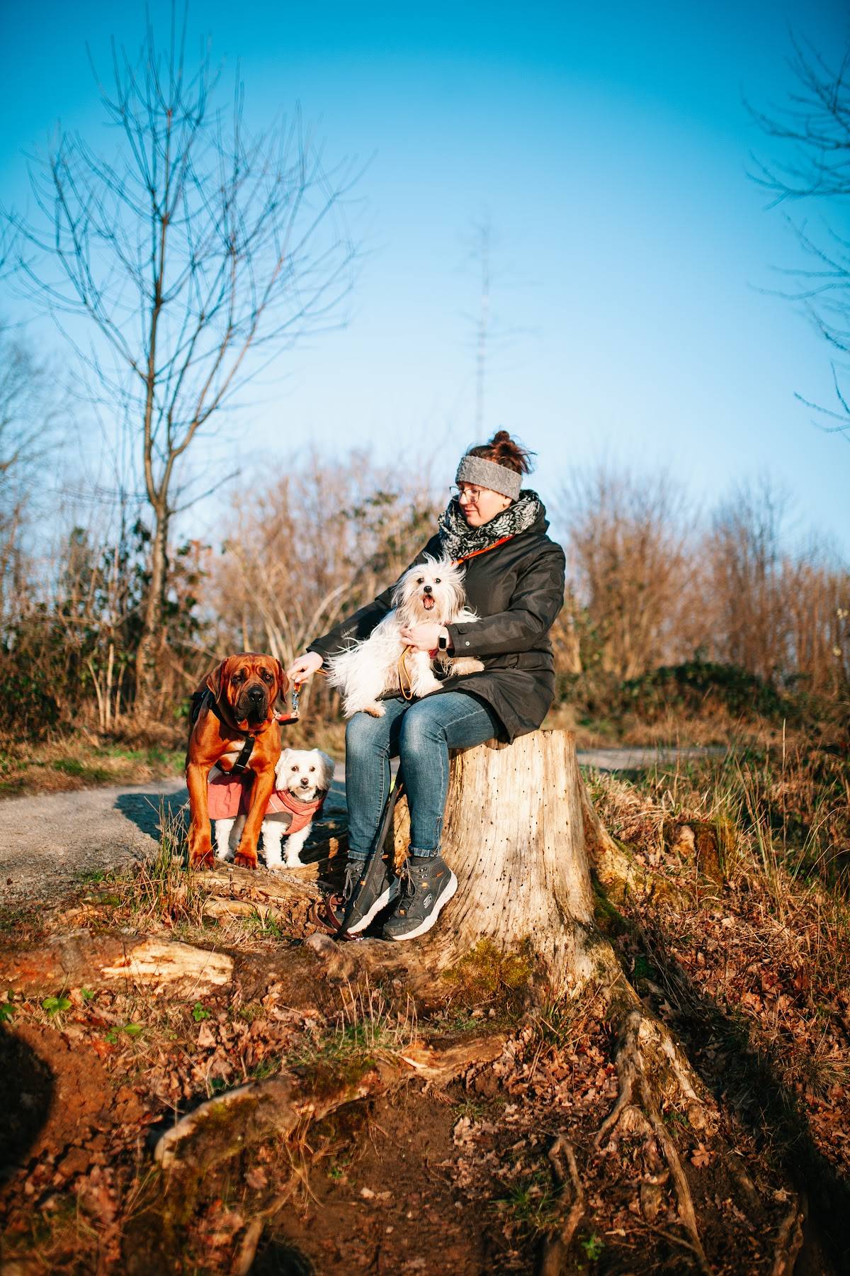 Pawfect Walk & Care