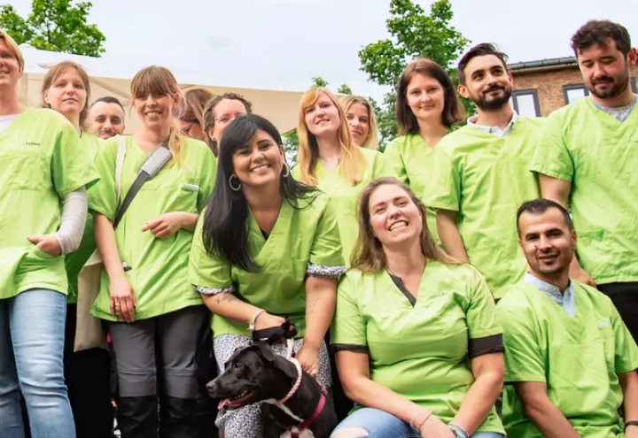 felmo Mobiler Tierarzt Bielefeld