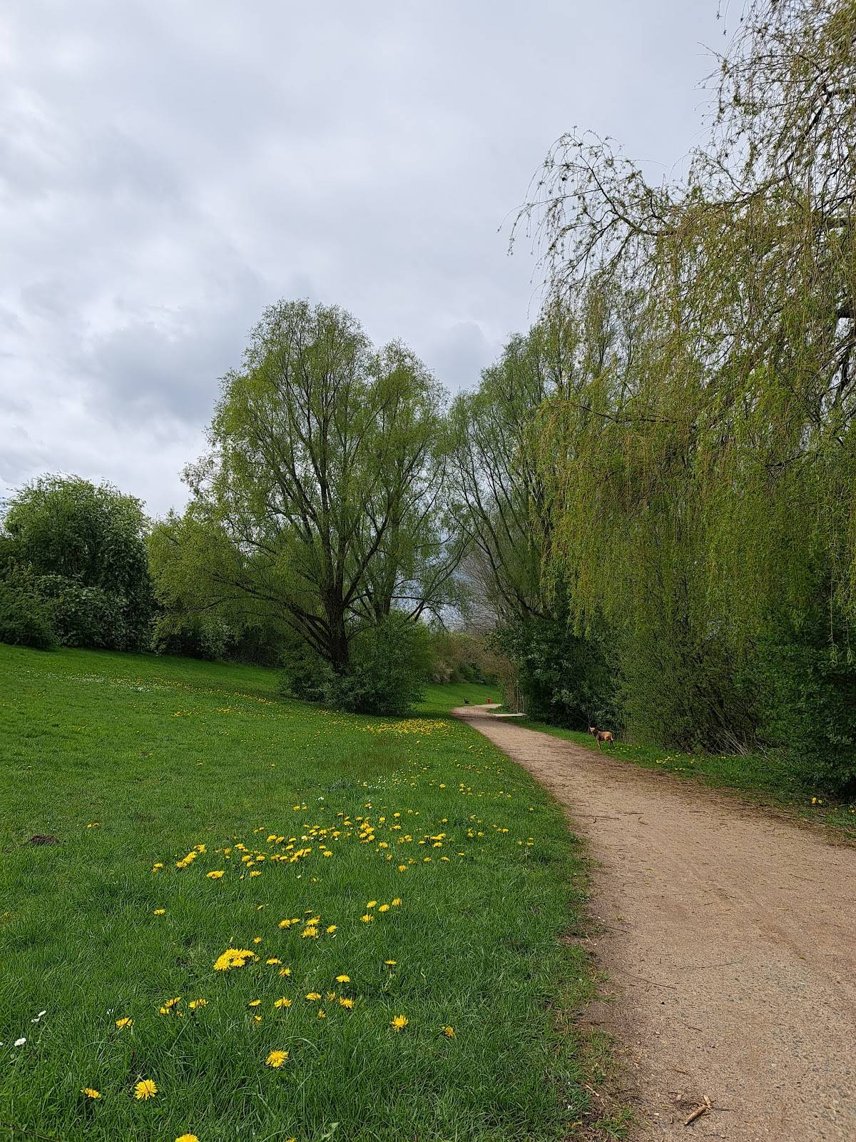 Hundeauslaufzone Gersonweg