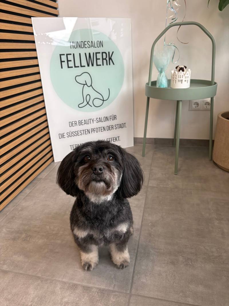 Hundesalon Fellwerk