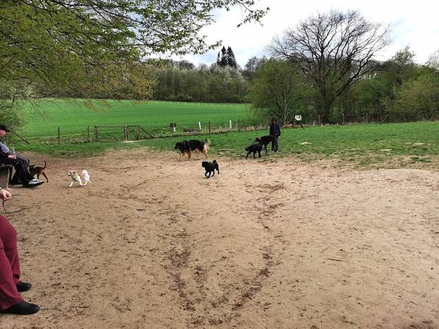 Hundewiese