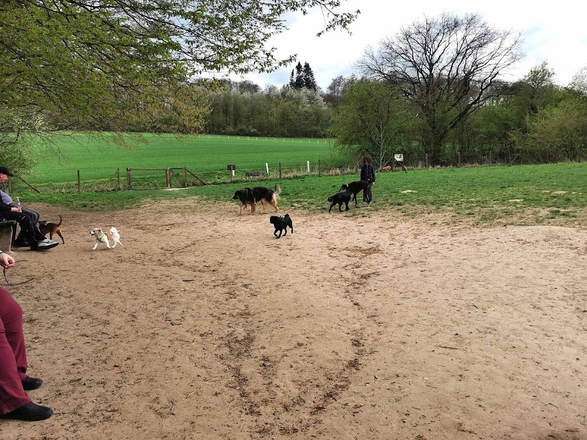 Hundewiese