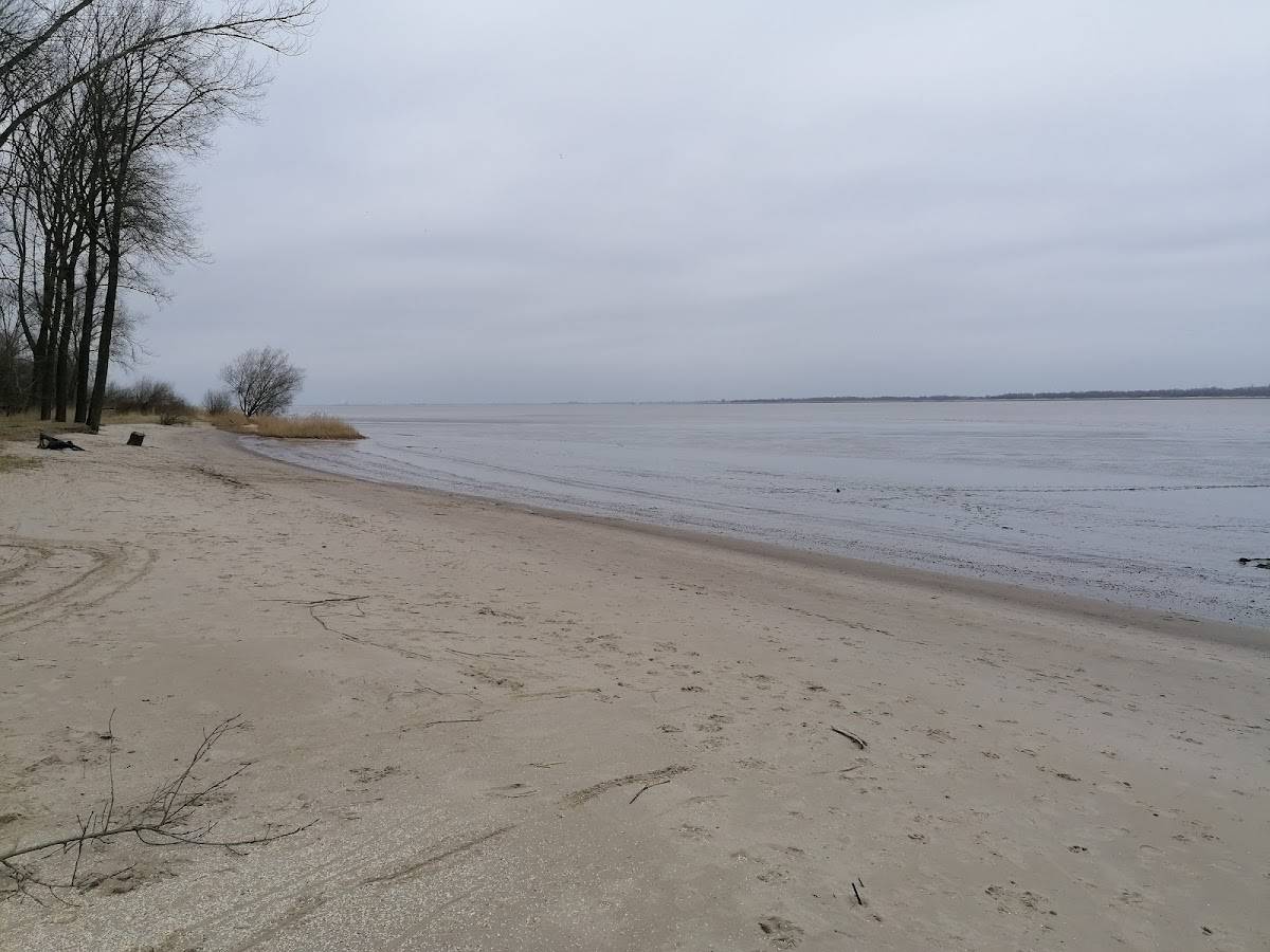 Hundestrand Krautsand
