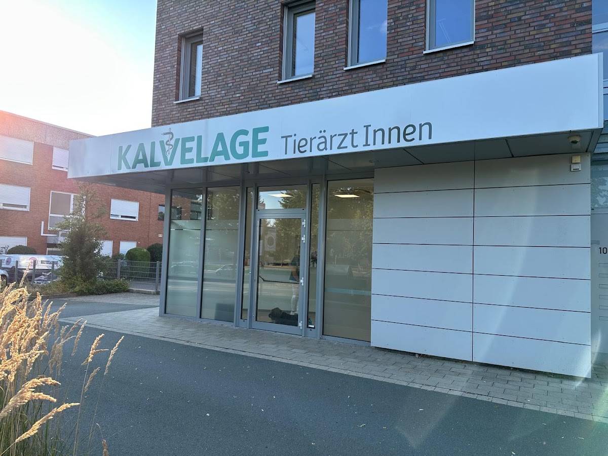 Kalvelage TierärztInnen