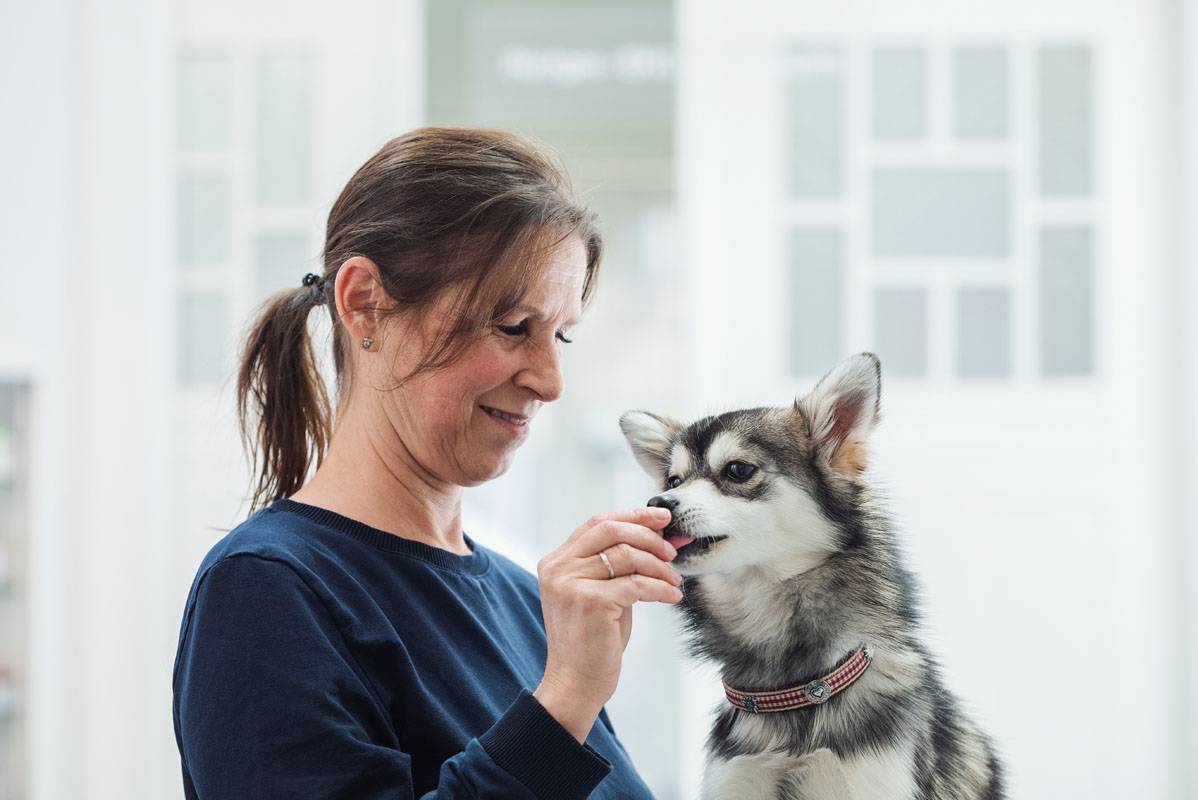 Tierklinik Fuhlsbüttel