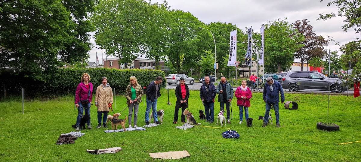 Staddy’s Hundeschule