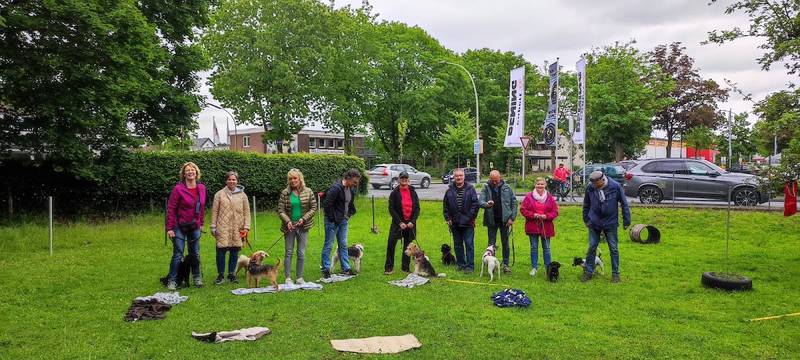 Staddy’s Hundeschule