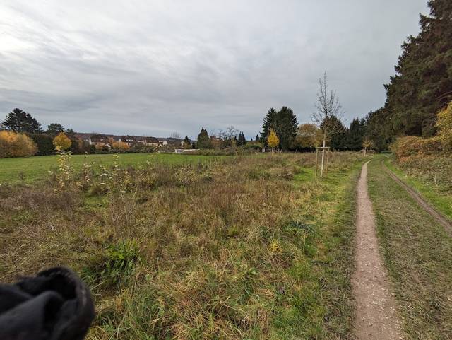 Hundeauslaufbereich