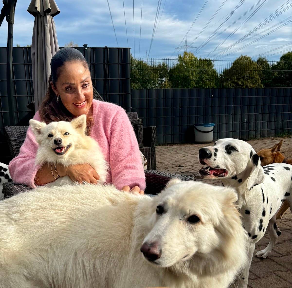 HUNDIVERSUM DogCare GmbH