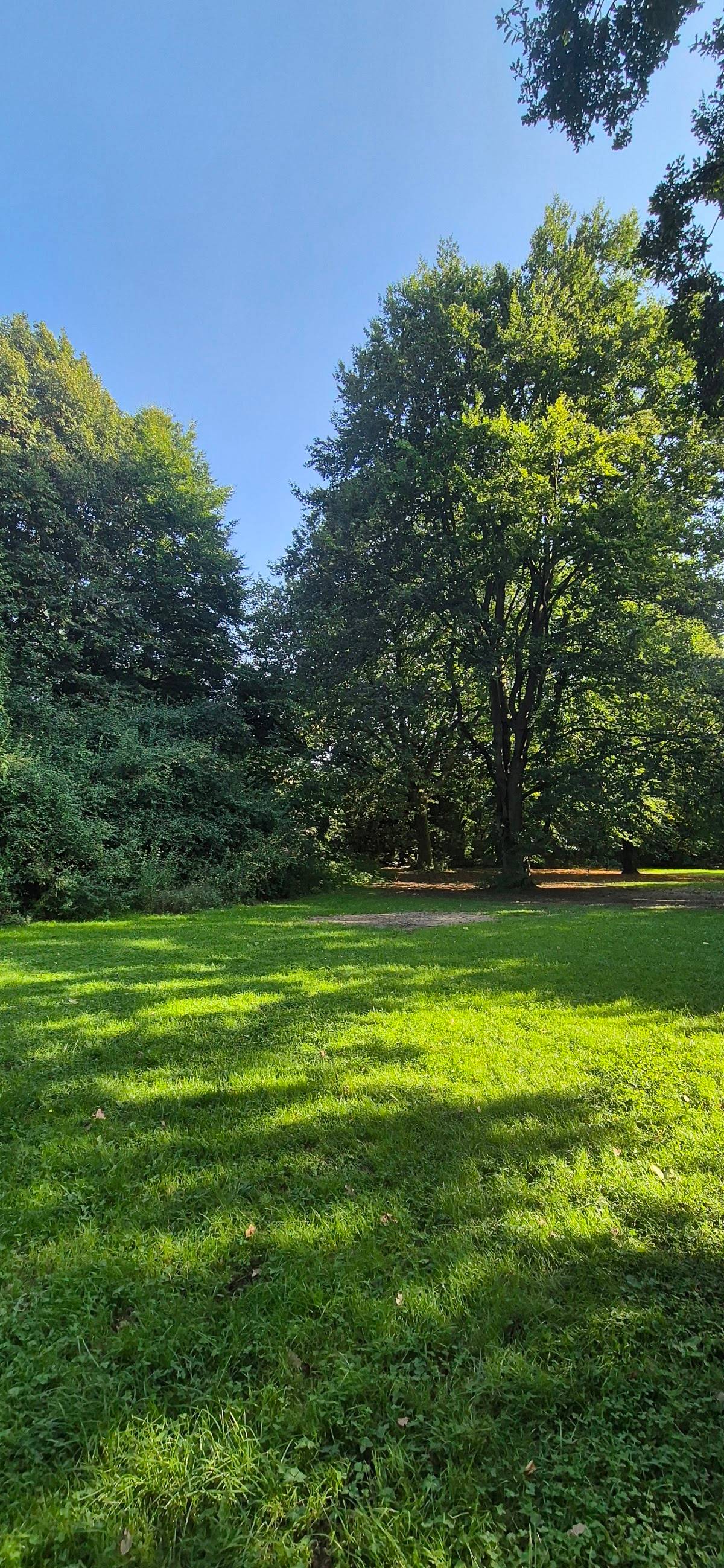 Hundeauslaufzone