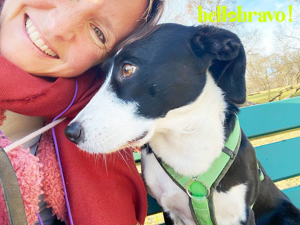 bellobravo Hundeschule