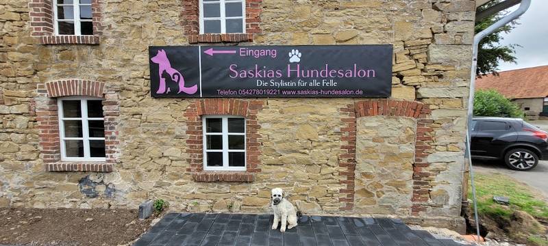 Saskias Hundesalon