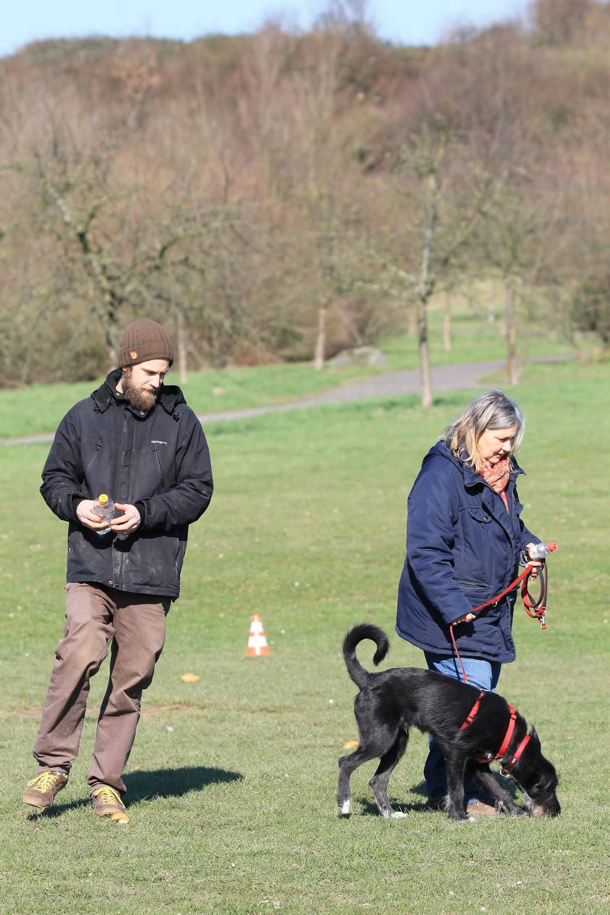 HUNDWERK - Erziehung, Therapie und mehr