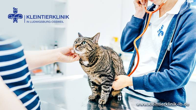 Kleintierklinik in Ludwigsburg-Oßweil