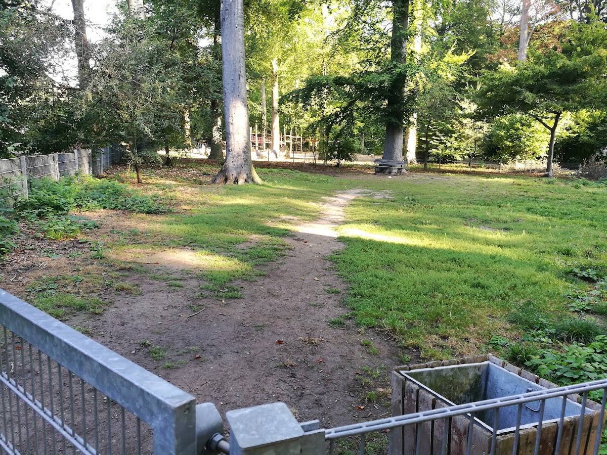 Hundeauslaufplatz Niedeider Wäldchen