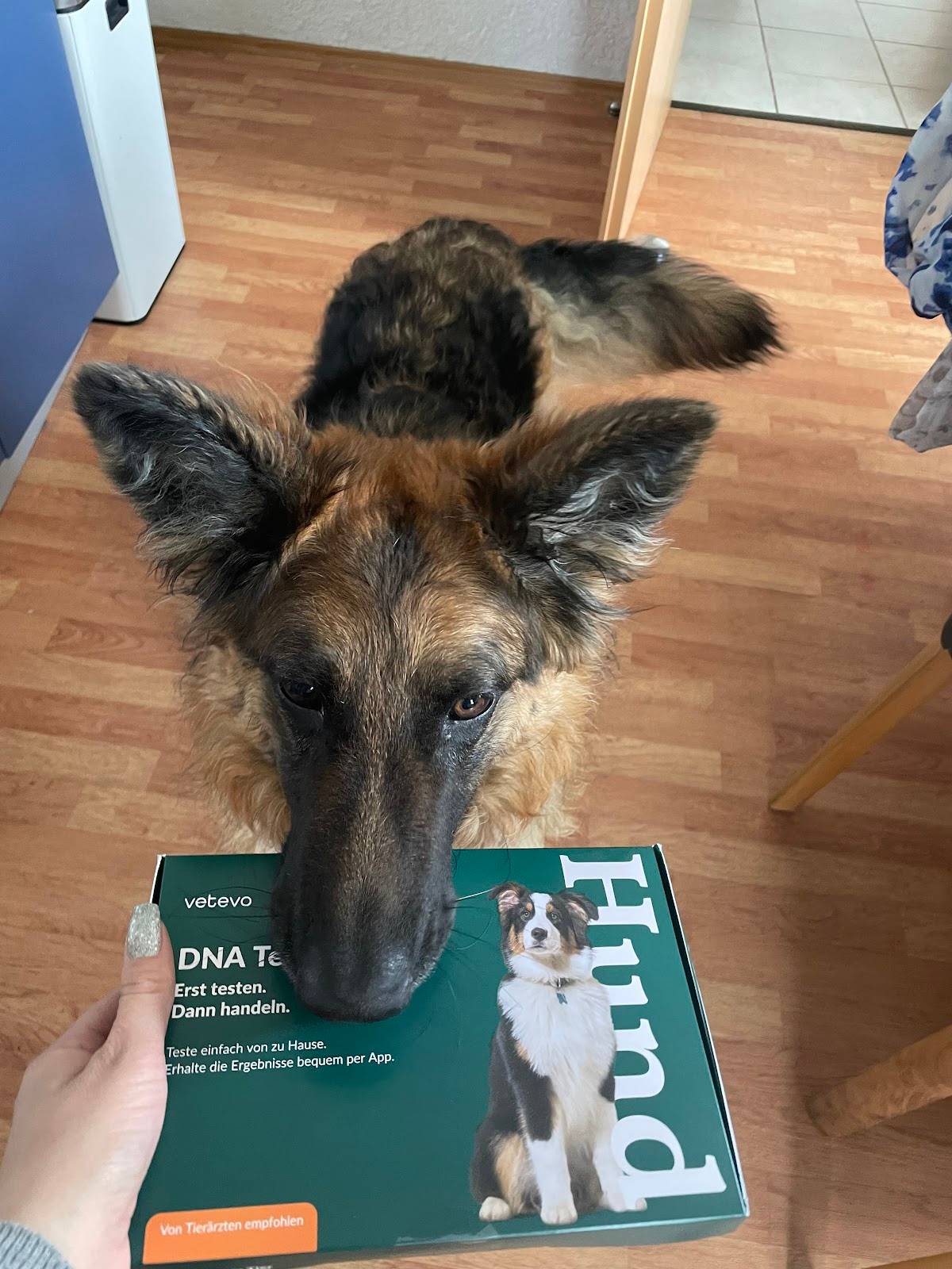 vetevo GmbH