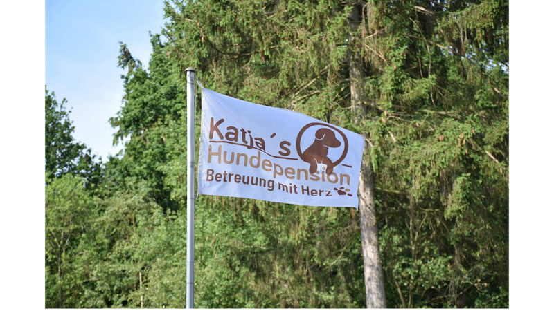 Katja´s Hundebetreuung