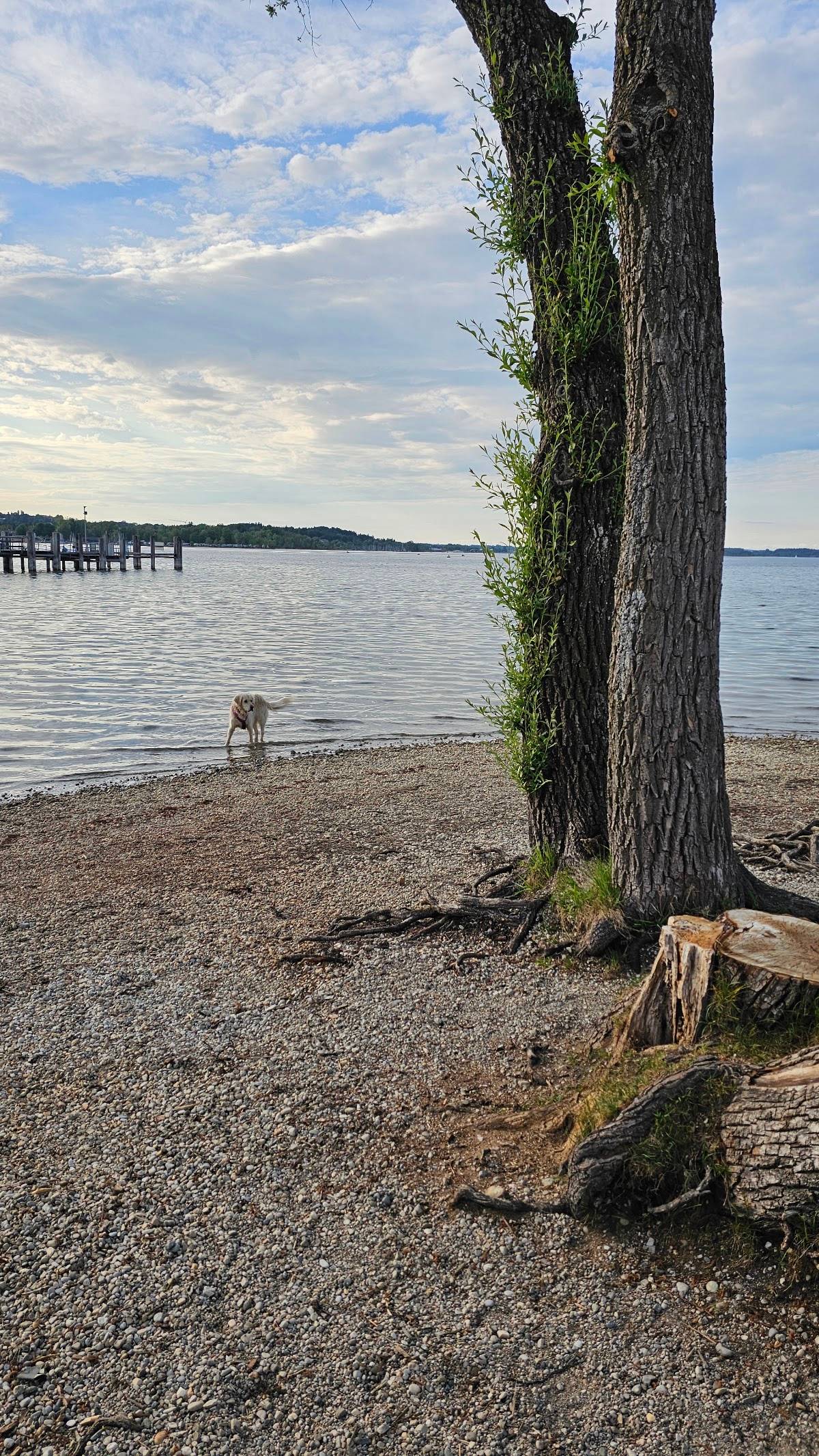 Hundespielplatz am Chiemsee