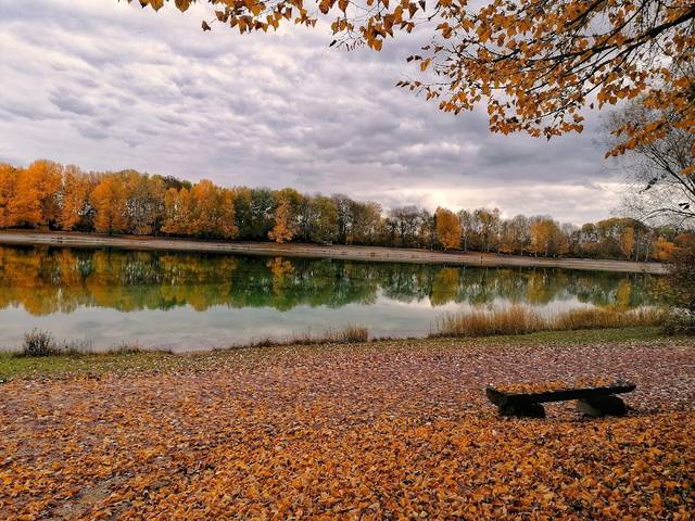 Kuhsee