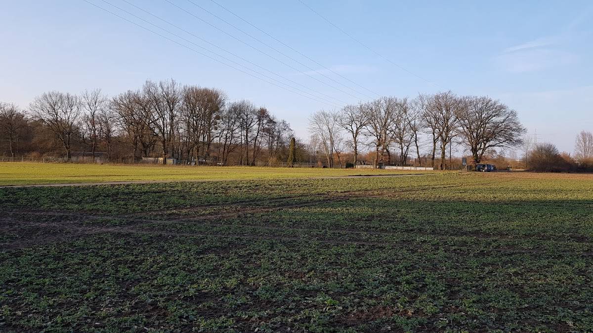 Hundesport RSGV Darmstadt-Arheilgen