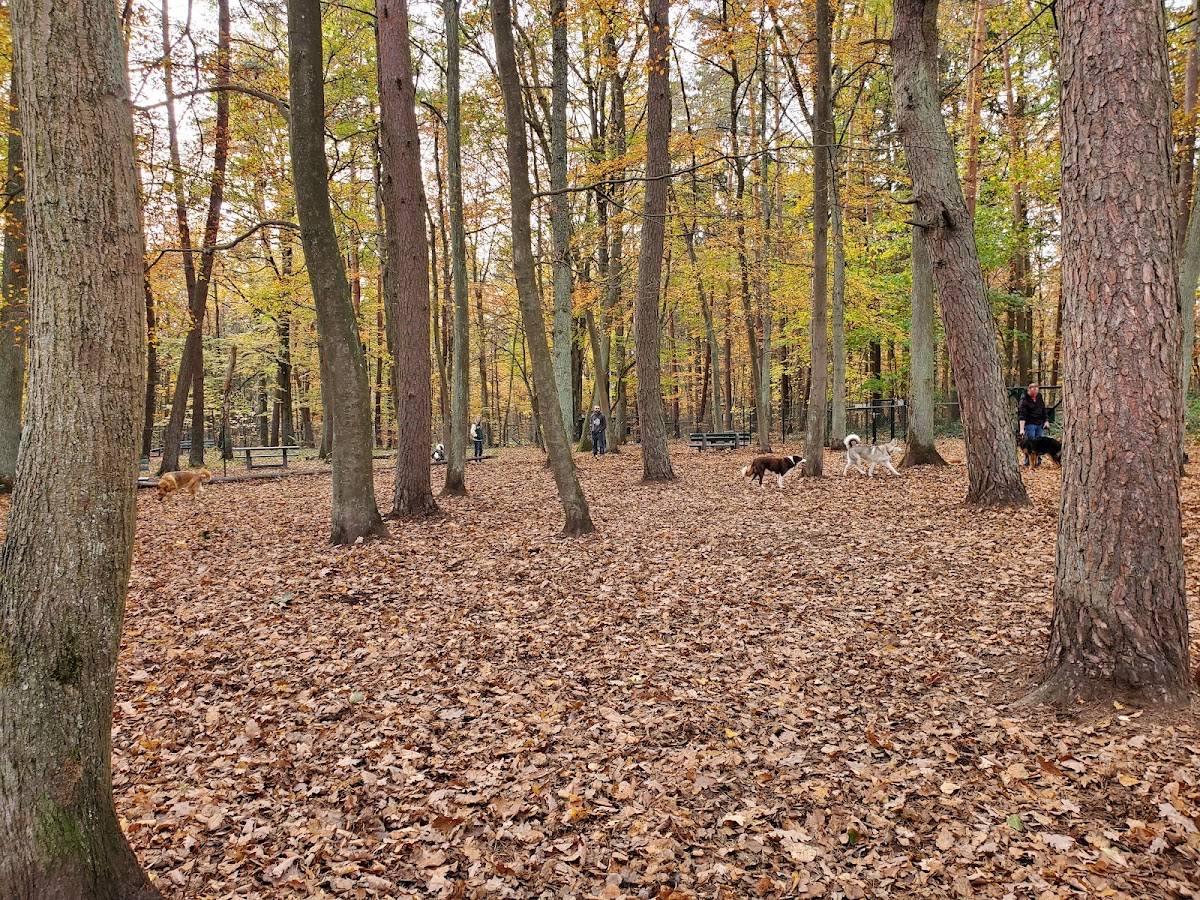 Landstuhl Hundepark