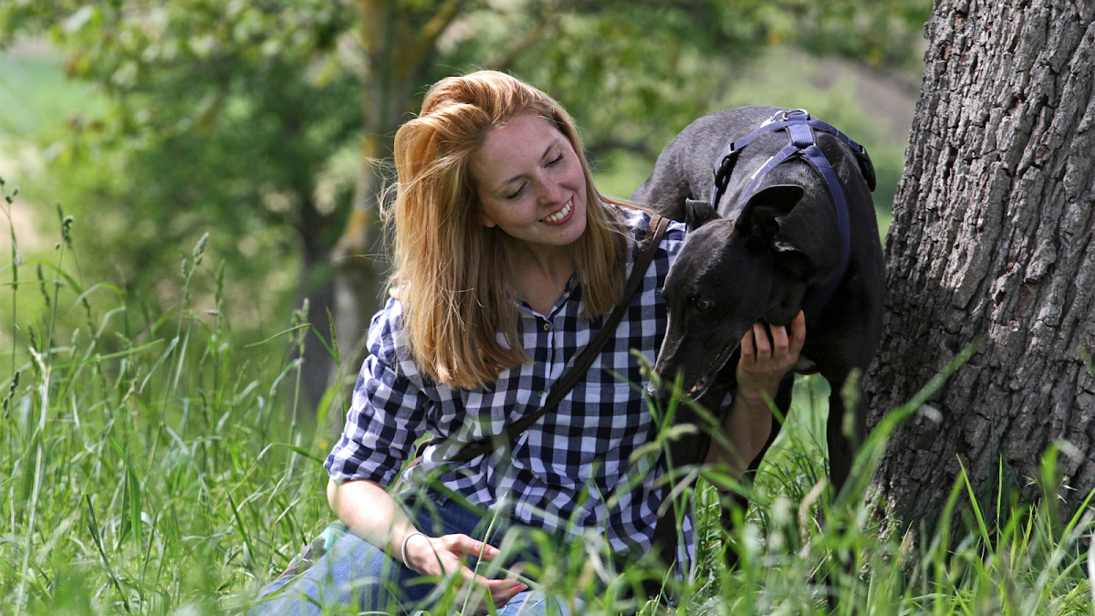 Hundeschule invisible lead