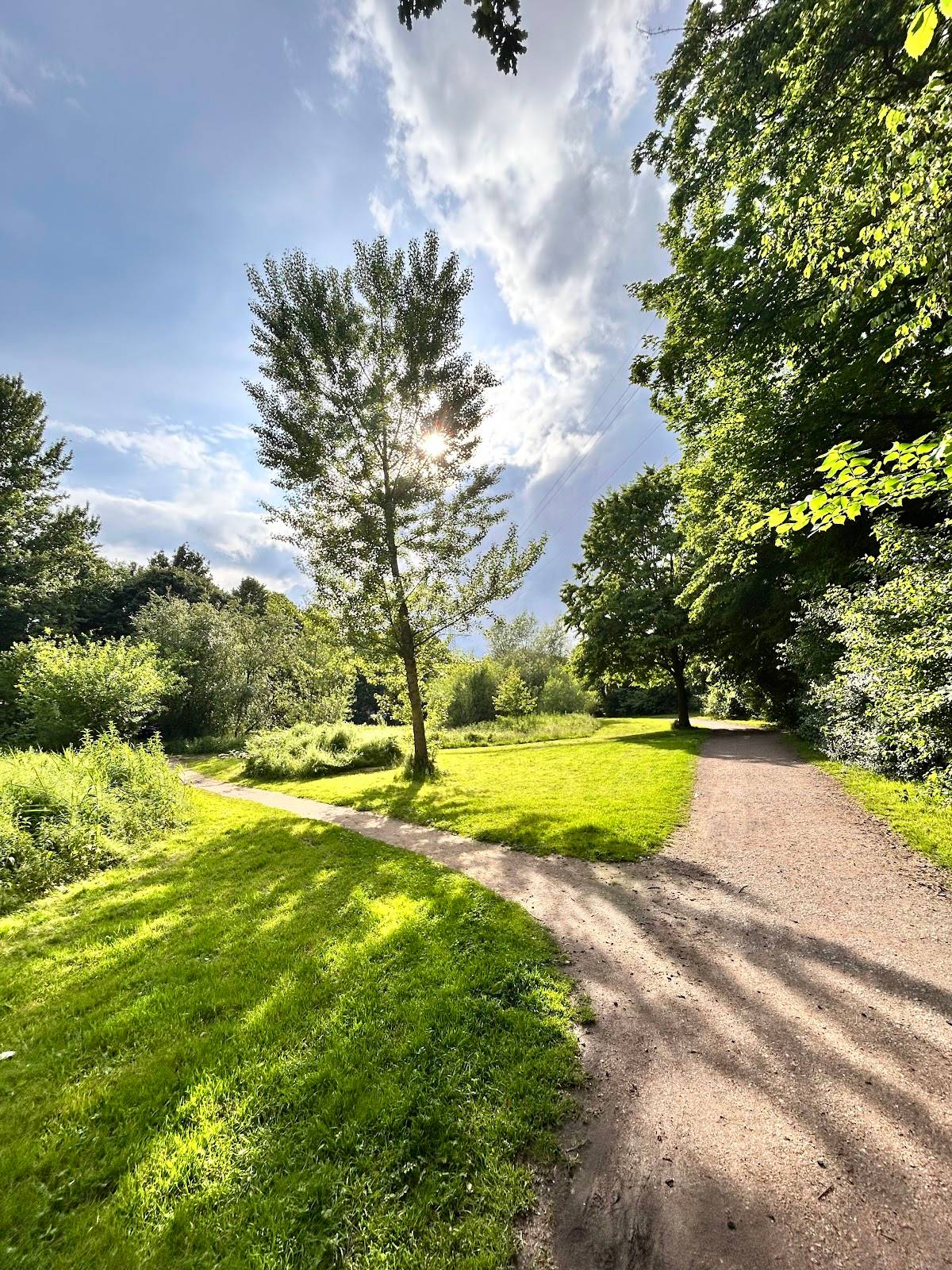 Hundeauslaufzone