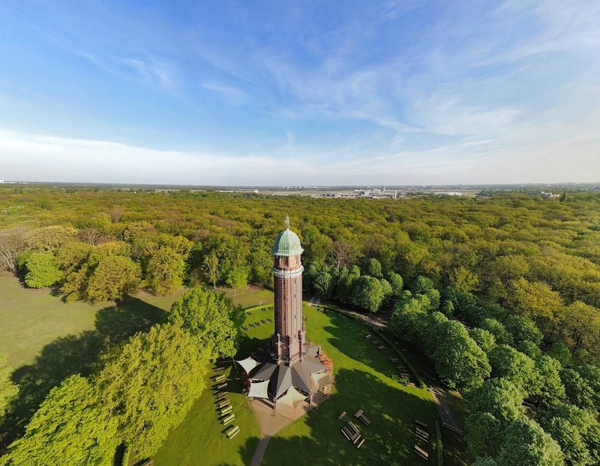Hundefreilauf Volkspark Jungfernheide