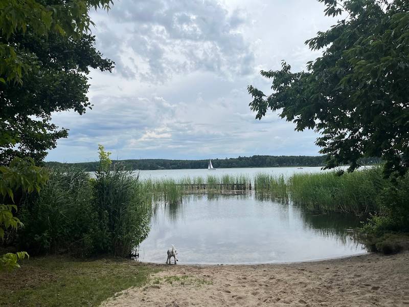 Hundestrand Wendisch Rietz
