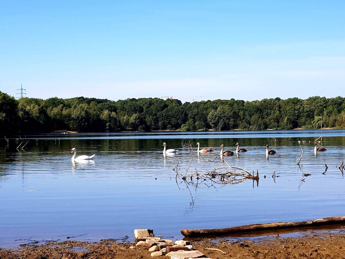 Wiese am Höhenfelder See