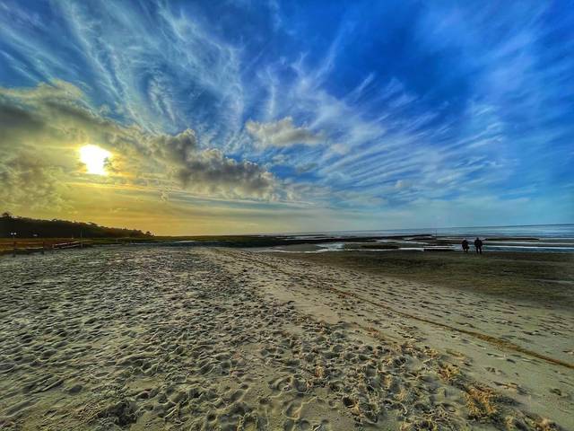 Hundestrand Sahlenburg