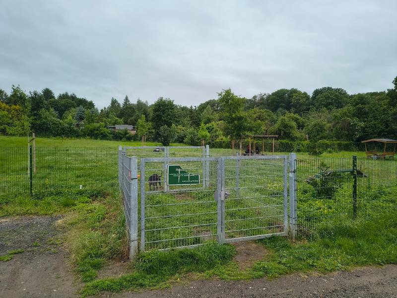 Hundewiese Altenburg