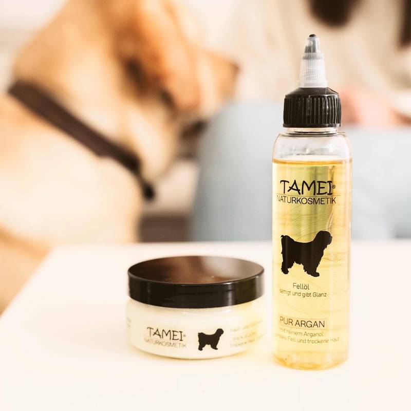 Tamei Dog