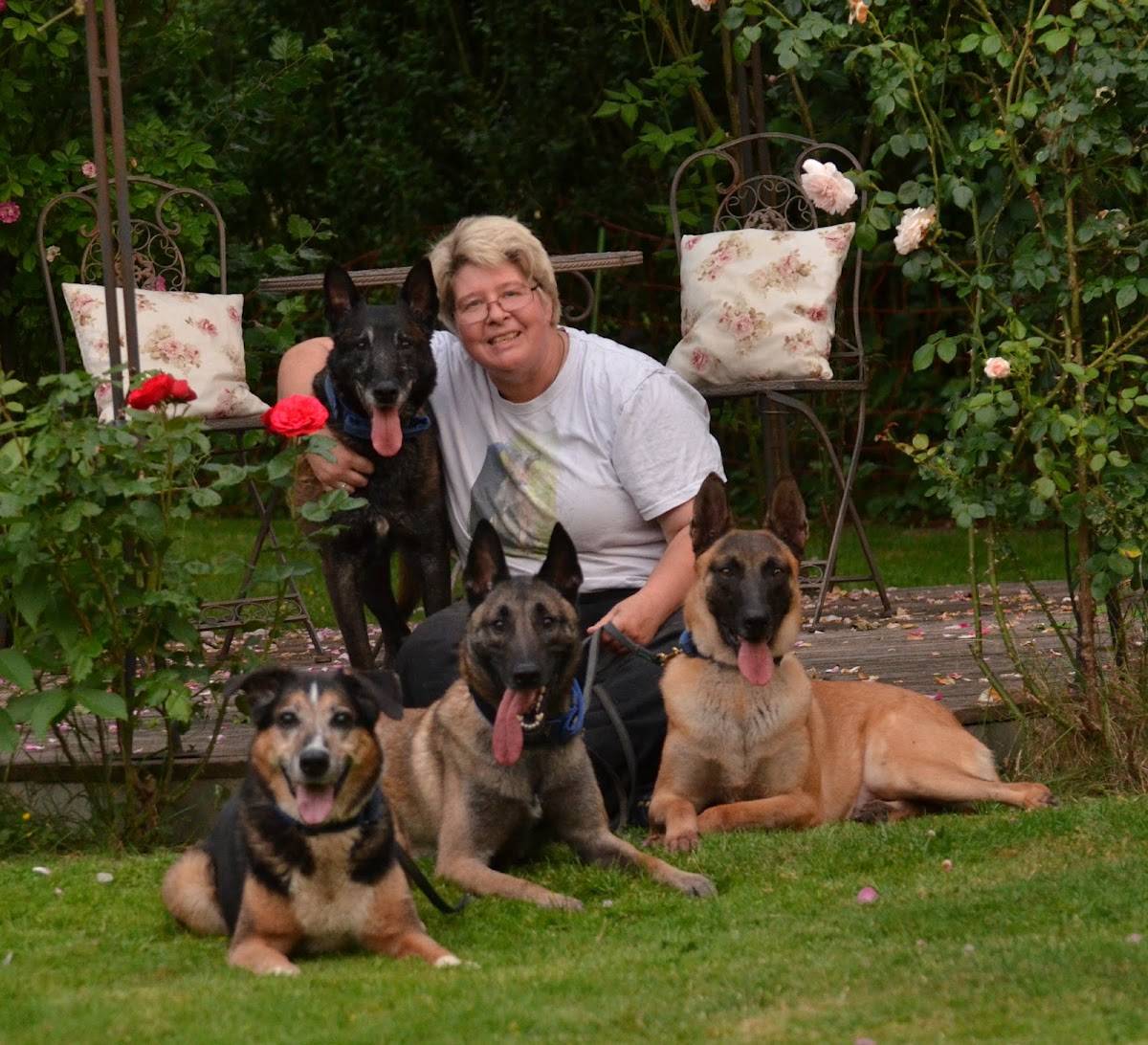 Hundeschule Dehn