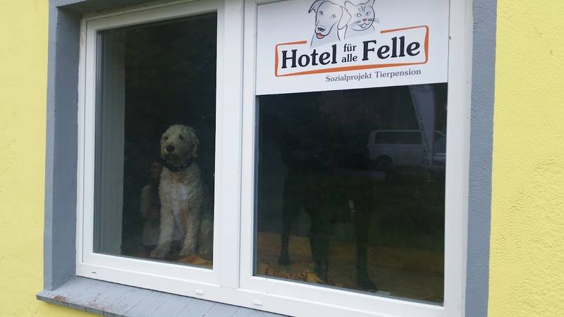 Tierpension - Sozialprojekt Aids-Hilfe Bielefeld e. V.