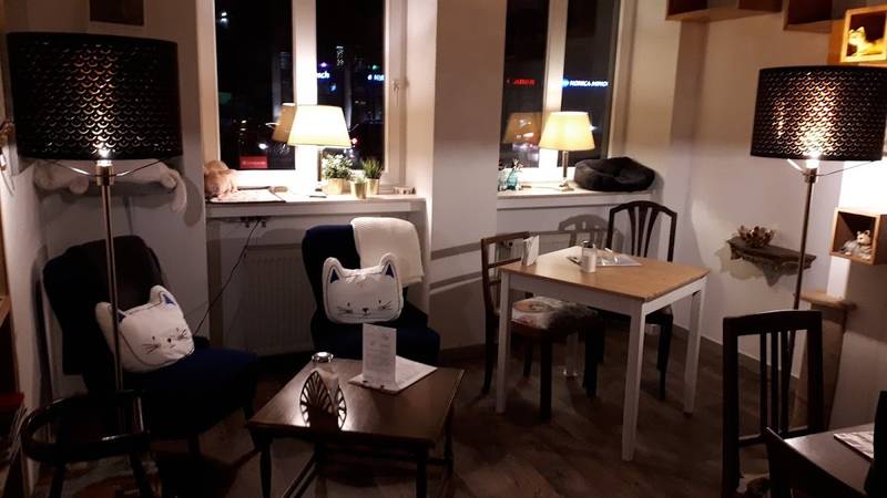 Katzencafé Miezhaus