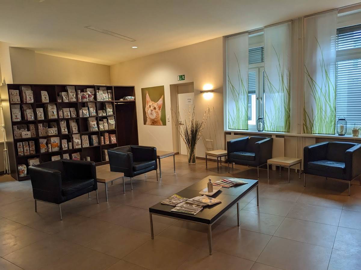 Katzenklinik Frankfurt