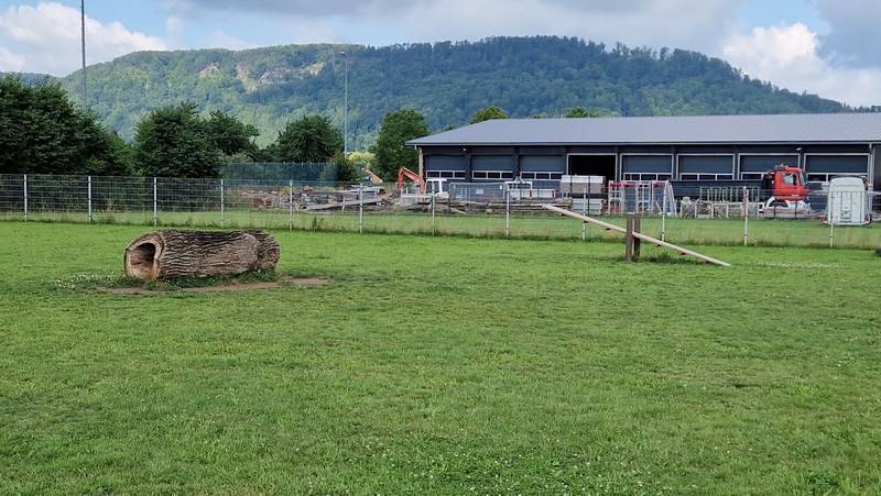 Hundewiese Boffzen