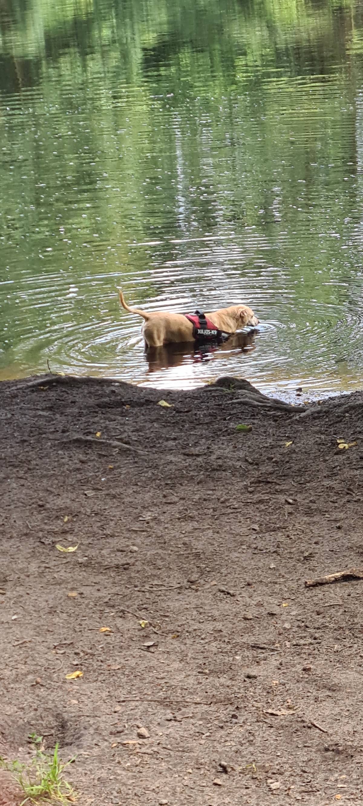 Hundewiese Kupferteich