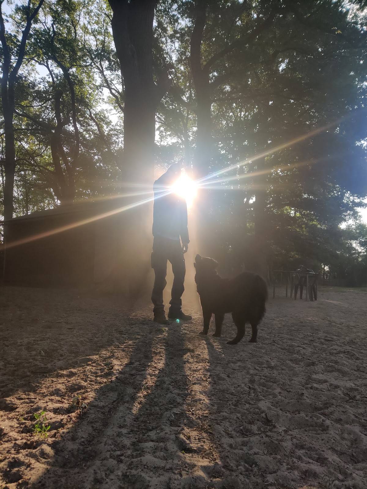 Hundewiese Rheda, Sudheide