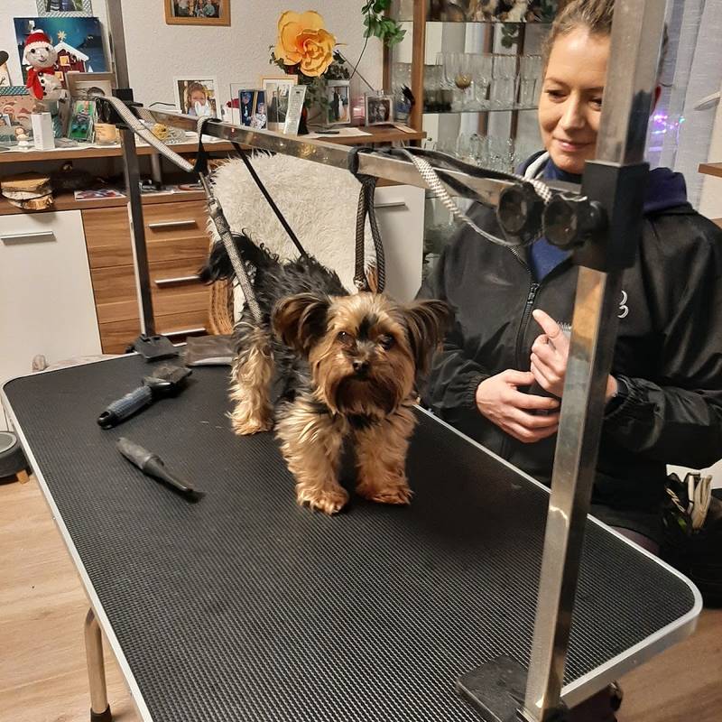 Jenny’s Hundesalon