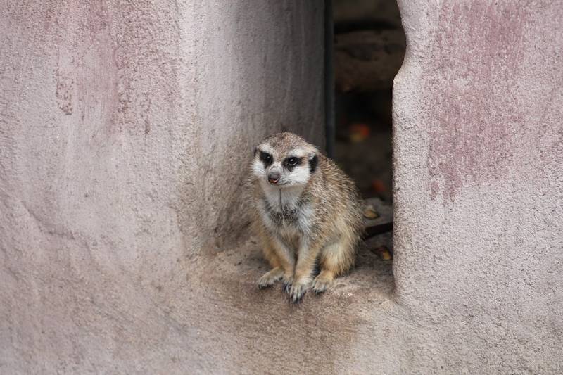 Tierpark Herford