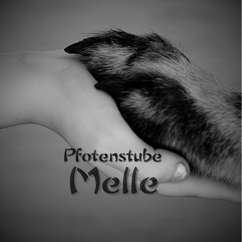 Pfotenstube Melle