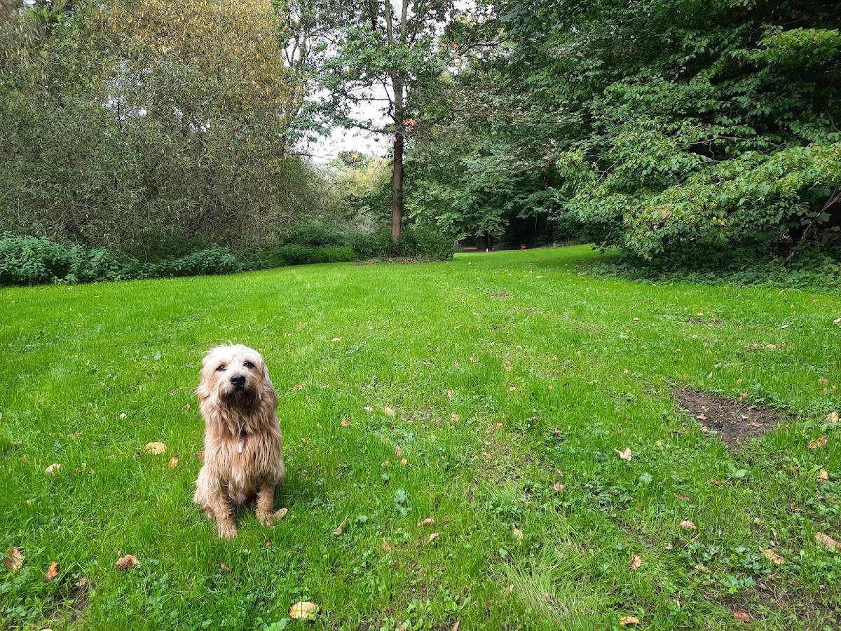 Hundauslaufzone