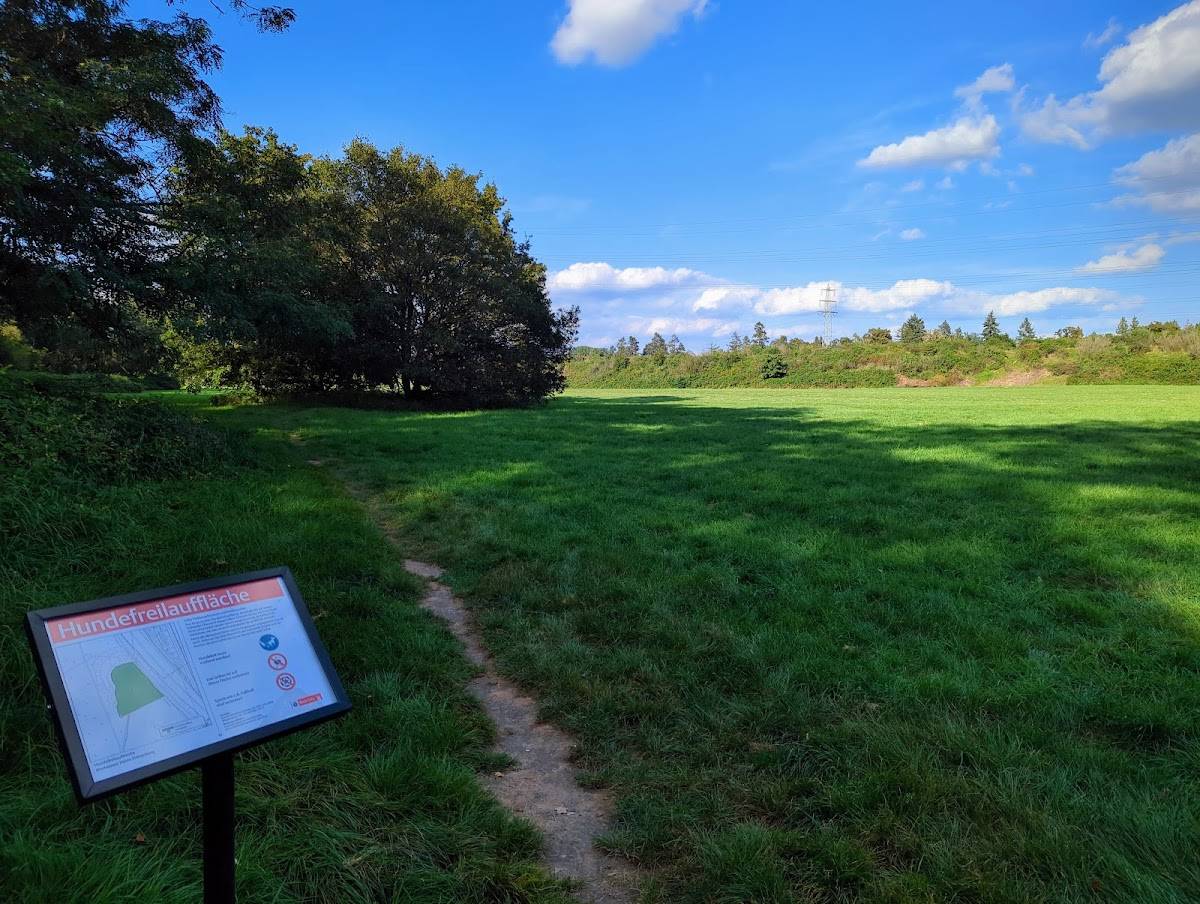 Hundefreilauffläche 82 Merheimer Heide / Höhenberg