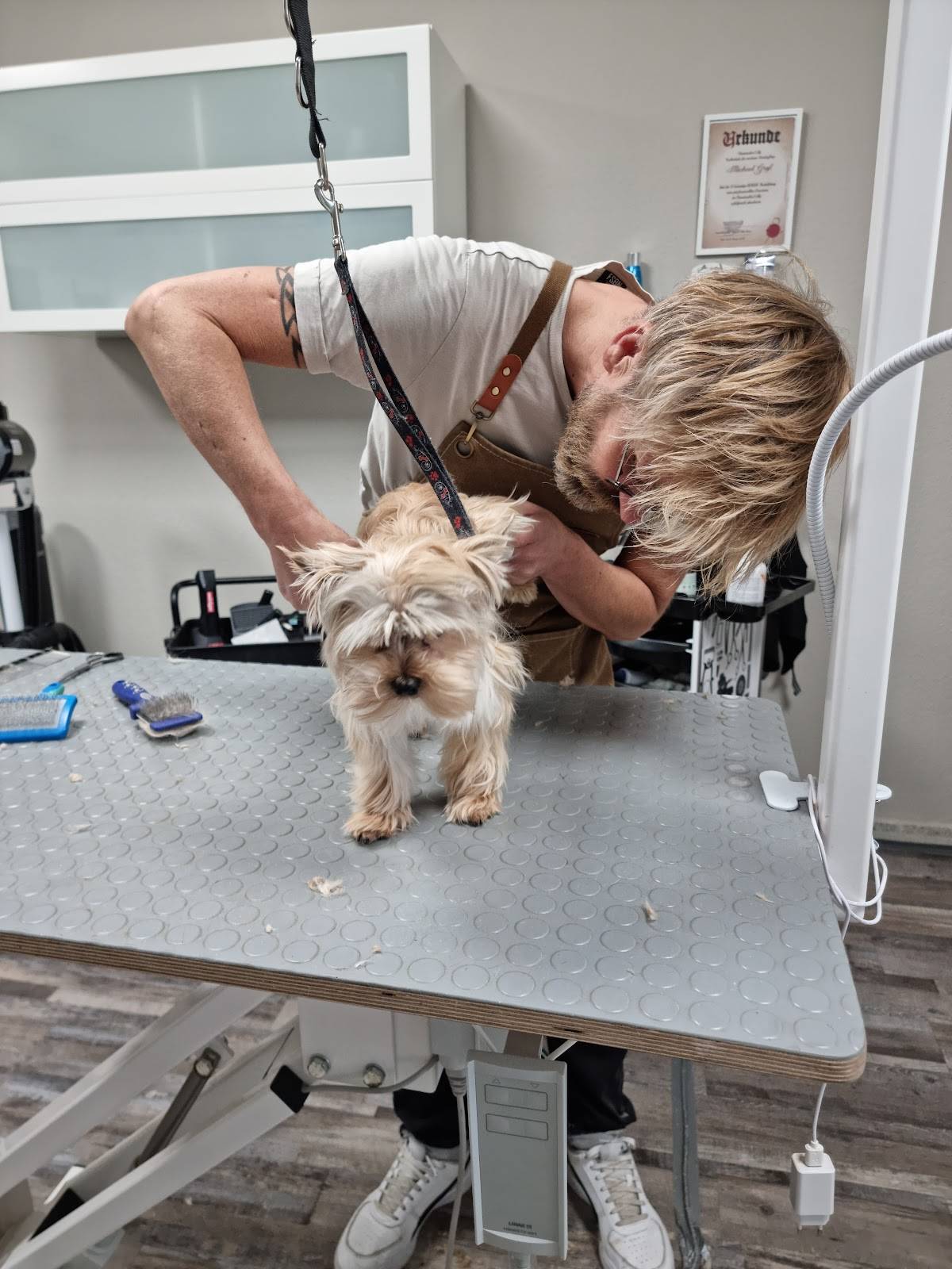 Michas Hundesalon