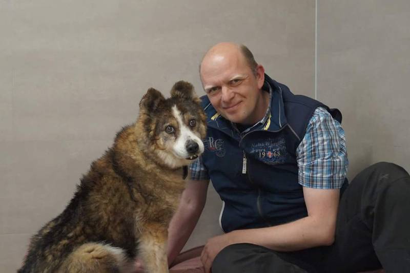 Hundeschule Feinsinn